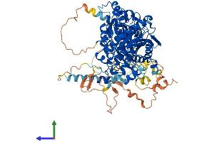 AlphaFold protein structure predicition of Human Recombinant MTMR10 Protein, UniprotID Q9NXD2