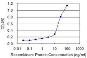 Detection limit for recombinant GST tagged C4BPB is 0. (C4BPB 抗体  (AA 1-251))