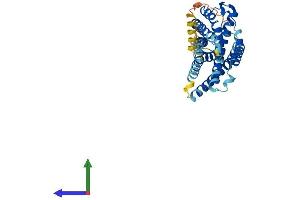 Protein Structure (PS) image for Cysteinyl Leukotriene Receptor 1 (CYSLTR1) (AA 1-352) protein (His tag) (ABIN7560306)