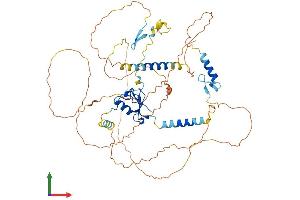 AlphaFold protein structure predicition of Mouse Recombinant Rnf220 Protein, UniprotID Q6PDX6