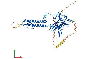 Protein Structure (PS) image for Potassium Inwardly-Rectifying Channel, Subfamily J, Member 4 (KCNJ4) (AA 1-445) protein (His tag) (ABIN7554342)