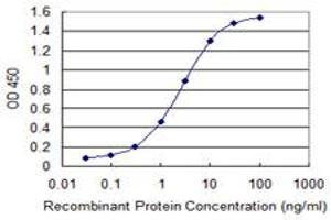 Detection limit for recombinant GST tagged YWHAZ is 0. (14-3-3 zeta 抗体  (AA 51-150))