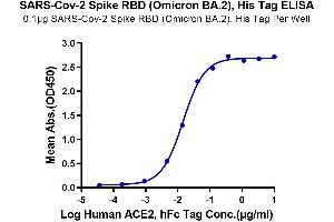 ELISA image for SARS-CoV-2 Spike (BA.2 - Omicron), (RBD) protein (His tag) (ABIN7273901)