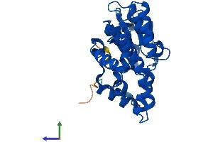 Protein Structure (PS) image for Glutathione S-Transferase omega 2 (GSTO2) (AA 1-248) protein (His tag) (ABIN7559516)