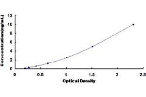 Typical standard curve (PDPK1 ELISA 试剂盒)