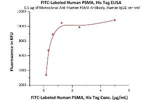 ELISA image for Folate Hydrolase (Prostate-Specific Membrane Antigen) 1 (FOLH1) (AA 44-750) (Active) protein (His tag,FITC) (ABIN6973205)