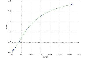 Chemokine (C-C Motif) Ligand 15 (CCL15) ELISA Kit