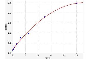 Typical standard curve (Undercarboxylated Matrix Gla Protein (UcMGP) ELISA 试剂盒)