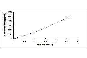 Typical standard curve (Relaxin 2 ELISA 试剂盒)
