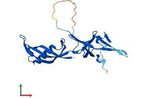 Protein Structure (PS) image for Polymerase (RNA) III (DNA Directed) Polypeptide H (22.9kD) (POLR3H) (AA 1-204) protein (His tag) (ABIN7551544)