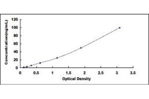 Typical standard curve (CYP3A5 ELISA 试剂盒)