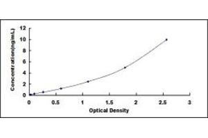 Typical standard curve (D2HGDH ELISA 试剂盒)