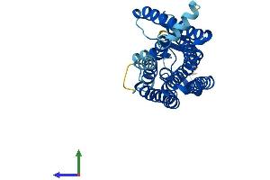 Protein Structure (PS) image for Olfactory Receptor, Family 8, Subfamily D, Member 1 (OR8D1) (AA 1-308) protein (His tag) (ABIN7550321)