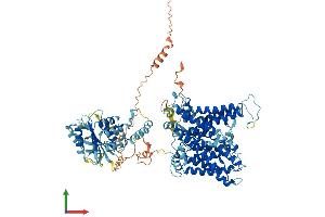 Protein Structure (PS) image for Solute Carrier Family 4, Anion Exchanger, Member 1 (erythrocyte Membrane Protein Band 3, Diego Blood Group) (SLC4A1) (AA 1-929) protein (His tag) (ABIN7562744)