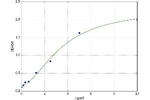Glutathione S-Transferase theta 1 (GSTT1) ELISA Kit