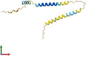 Protein Structure (PS) image for Organic Solute Transporter beta (OSTBETA) (AA 1-128) protein (His tag) (ABIN7550538)