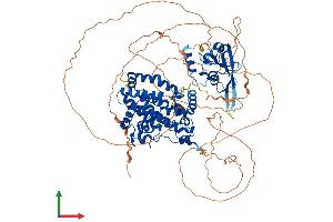 AlphaFold protein structure predicition of Human Recombinant SH2D3C Protein, UniprotID Q8N5H7