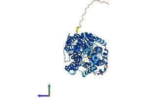 Protein Structure (PS) image for Solute Carrier Family 6 (Neurotransmitter Transporter, GABA), Member 13 (SLC6A13) (AA 1-602) protein (His tag) (ABIN7563120)