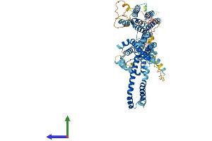 Protein Structure (PS) image for Stimulated By Retinoic Acid 6 (STRA6) (AA 1-670) protein (His tag) (ABIN7562555)