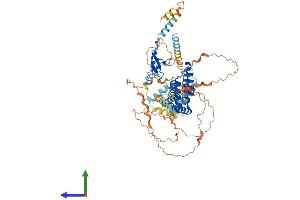 Protein Structure (PS) image for Transmembrane Protein 201 (TMEM201) (AA 1-666) protein (His tag) (ABIN7544385)