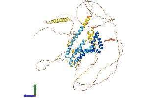 Protein Structure (PS) image for HMG Box Domain Containing 4 (HMGXB4) (AA 1-601) protein (His tag) (ABIN7548385)