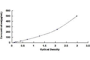 Typical standard curve (GUCA2A ELISA 试剂盒)