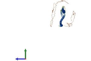 Protein Structure (PS) image for Keratin 71 (KRT71) (AA 1-524) protein (His tag) (ABIN7556186)