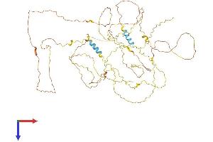 AMER2 Protein (AA 1-672) (His tag)