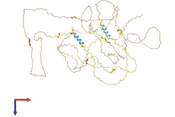 AMER2 Protein (AA 1-672) (His tag)