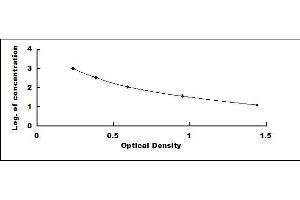 Typical standard curve (Kallikrein 12 ELISA 试剂盒)
