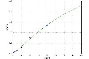Ribosomal Protein L13 (RPL13) ELISA Kit
