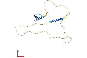 Protein Structure (PS) image for Emerin (EMD) (AA 1-259) protein (His tag) (ABIN7562171)