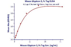 Image no. 1 for Glypican 3 (GPC3) (AA 25-557) (Active) protein (Fc Tag) (ABIN4949172)