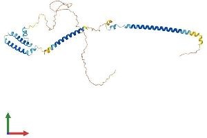 Protein Structure (PS) image for Kinetochore-associated protein DSN1 homolog (DSN1) (AA 1-348) protein (His tag) (ABIN7560752)