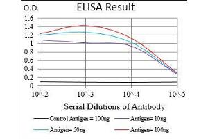 Black line: Control Antigen (100 ng), Purple line: Antigen(10 ng), Blue line: Antigen (50 ng), Red line: Antigen (100 ng), (GABBR2 抗体  (AA 319-483))