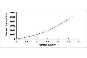 Typical standard curve (Enkephalin ELISA 试剂盒)