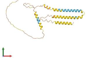 Protein Structure (PS) image for ADP-Ribosylation-Like Factor 6 Interacting Protein 6 (ARL6IP6) (AA 1-226) protein (His tag) (ABIN7558602)