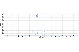anti-TNFRSF10A (Mapatumumab Biosimilar) antibody