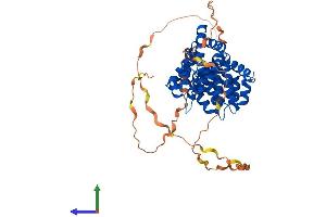 Protein Structure (PS) image for Annexin A11 (ANXA11) (AA 1-503) protein (His tag) (ABIN7556800)