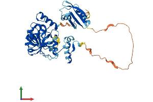 Protein Structure (PS) image for Methenyltetrahydrofolate Synthetase Domain Containing (MTHFSD) (AA 1-383) protein (His tag) (ABIN7549533)
