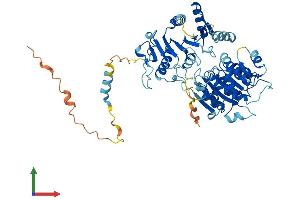 Protein Structure (PS) image for DEAD (Asp-Glu-Ala-Asp) Box Polypeptide 28 (DDX28) (AA 1-540) protein (His tag) (ABIN7547036)