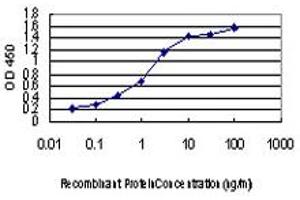 ELISA image for anti-Activin A Receptor, Type IB (ACVR1B) (AA 24-126) antibody (ABIN559764)
