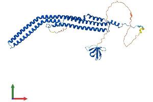 Protein Structure (PS) image for Protein Kinase C and Casein Kinase Substrate in Neurons 3 (PACSIN3) (AA 1-424) protein (His tag) (ABIN7550339)