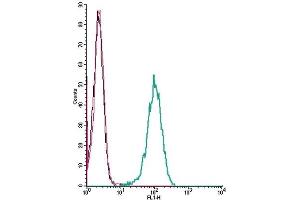 Cell surface detection of GABRA1 by indirect flow cytometry in live intact human THP-1 monocytic leukemia cells: (black line) Cells.