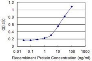 Detection limit for recombinant GST tagged CTTN is 0. (Cortactin 抗体  (AA 341-450))