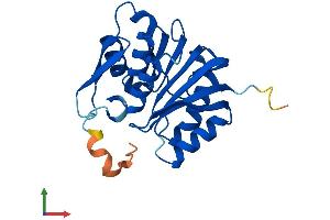Protein Structure (PS) image for Family With Sequence Similarity 119A (FAM119A) (AA 1-218) protein (His tag) (ABIN7560554)