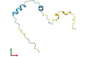 Protein Structure (PS) image for Musculoskeletal, Embryonic Nuclear Protein 1 (MUSTN1) (AA 1-82) protein (Fc Tag) (ABIN7549497)