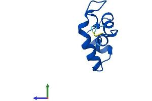 Protein Structure (PS) image for Polymerase (RNA) II (DNA Directed) Polypeptide L, 7.6kDa (POLR2L) (AA 1-67) protein (Fc Tag) (ABIN7556623)