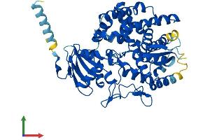 Protein Structure (PS) image for Prostaglandin I2 (Prostacyclin) Synthase (PTGIS) (AA 1-501) protein (His tag) (ABIN7562262)