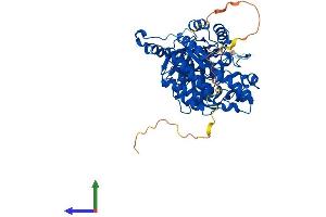 Protein Structure (PS) image for Collapsin Response Mediator Protein 1 (CRMP1) (AA 1-572) protein (His tag) (ABIN7556803)